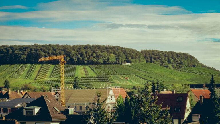 ESG kraftvoll nutzen: Der entscheidende Leitfaden für den deutschen Mittelstand